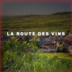 les meilleurs vignobles d'Alsace du Nord