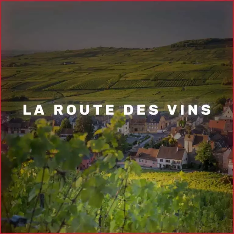 les meilleurs vignobles d'Alsace du Nord