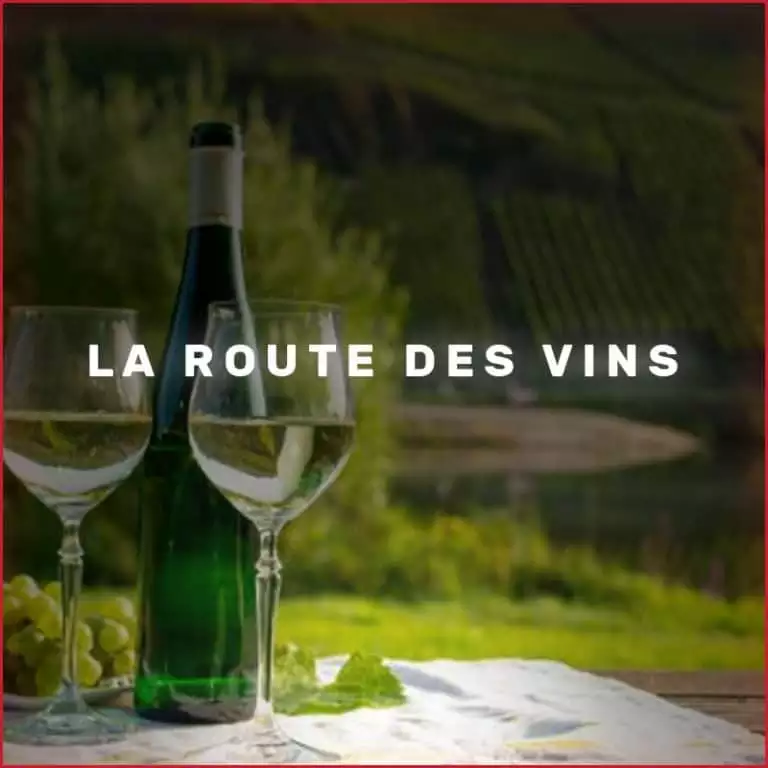 La route des vins d'Alsace