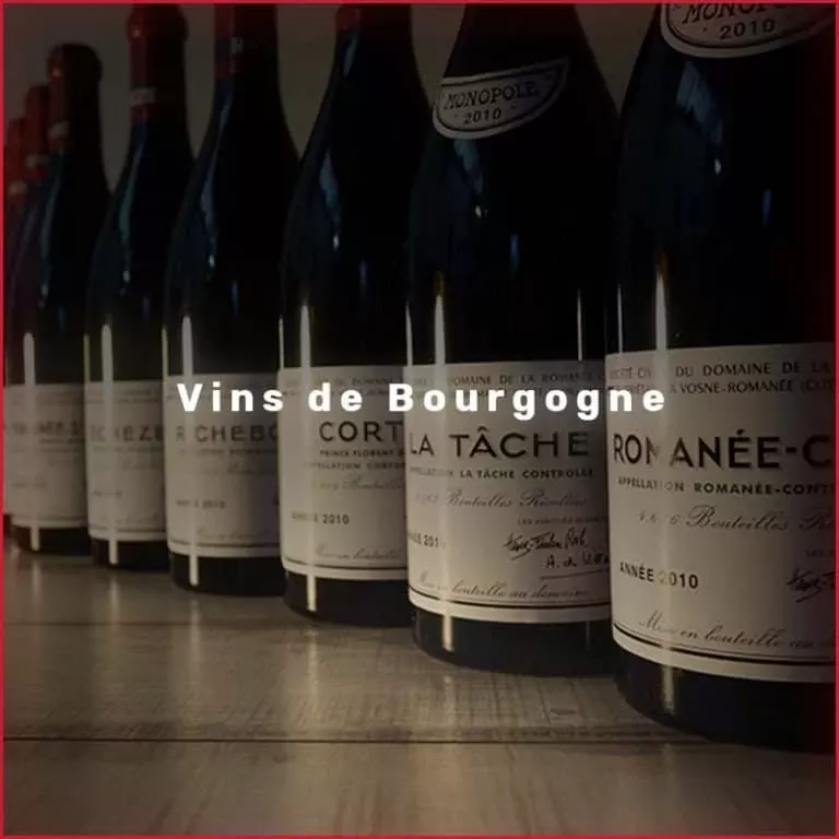 Vins de Bourgogne - Alsace Voyage - Trouver le bon vin