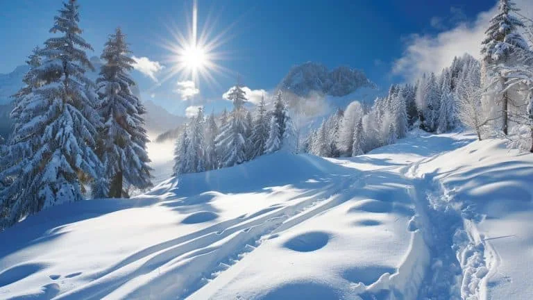 Découvrez de nouvelles expériences en pratiquant les sports d'hiver