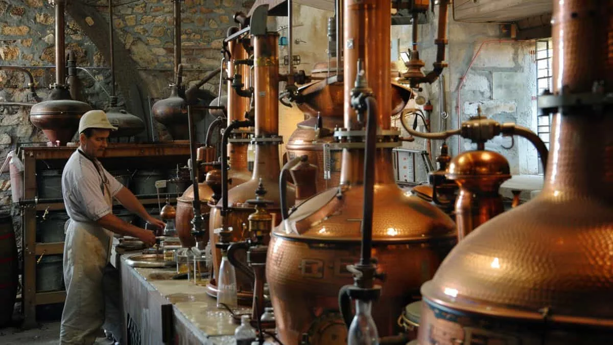 Découvrez l'univers des distilleries artisanales et des délicieux schnaps dans la pittoresque Vallée de Villé !