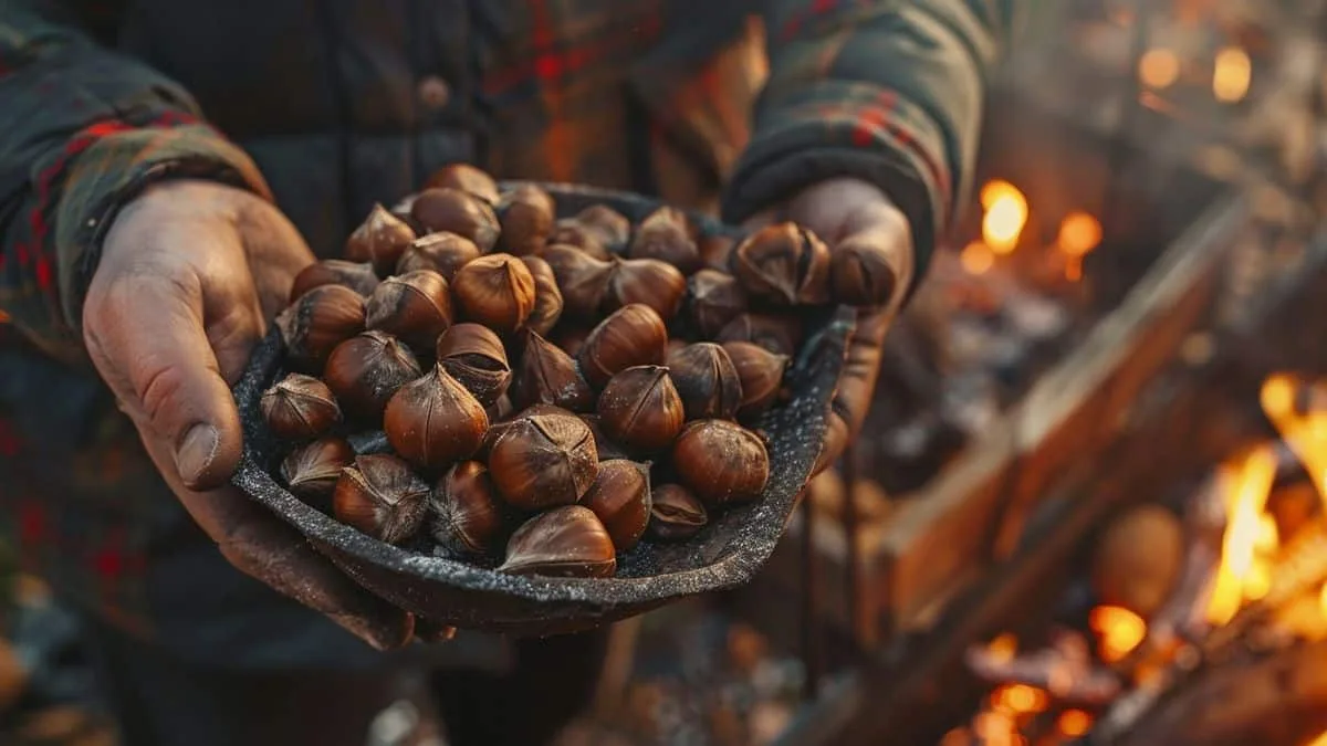 Eine gastronomie de saison à savourer