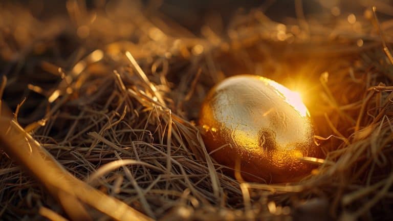 L&rsquo;odyssée du coq et de la poule sur la Rue de la Nuée Bleue