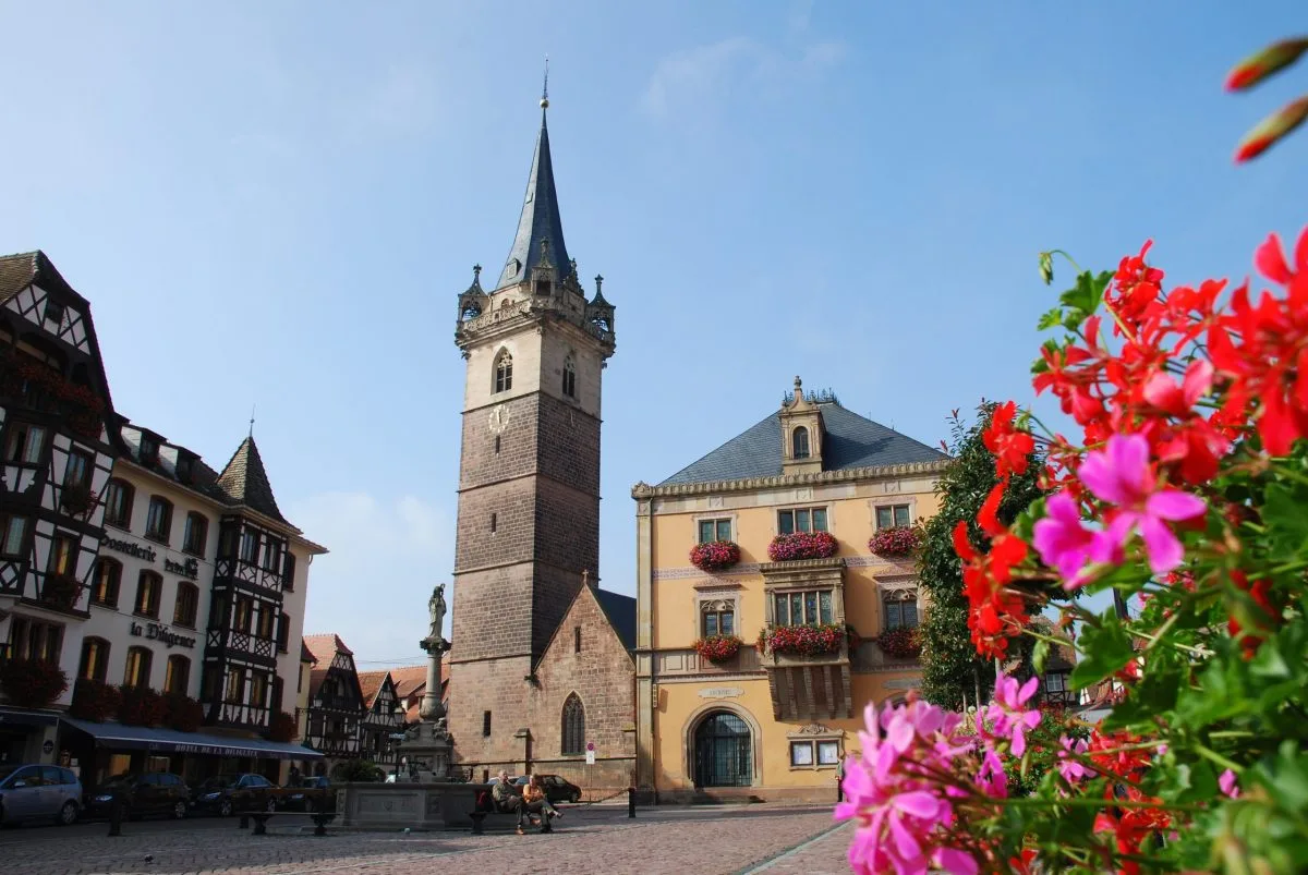 Visiter Obernai