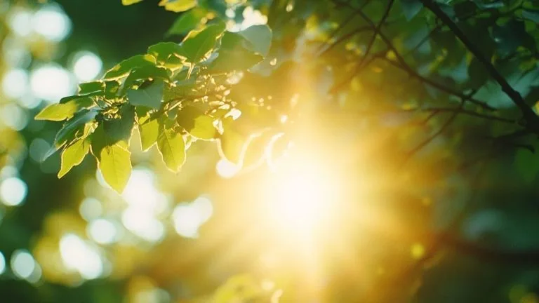 Centre-Alsace : Previsiones meteorológicas de una semana benigna