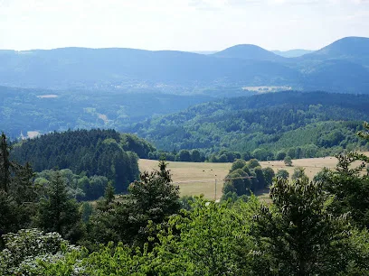 Château de la Roche à Bellefosse