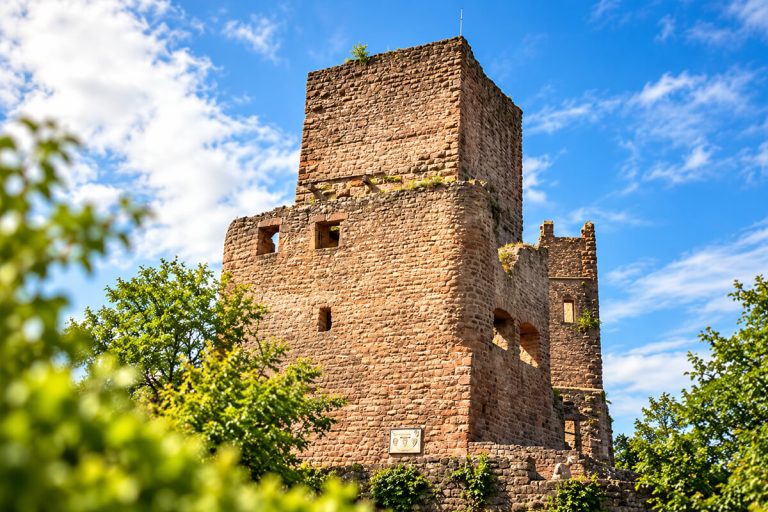 Donjon carré du Wahlenbourg en grès rose dressé au-dessus de son logis, voisin immédiat du Dagsbourg au Haut-Eguisheim