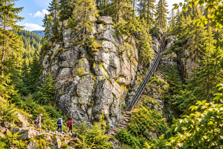 Image d’illustration : randonneurs au pied d’une paroi rocheuse équipée d’un escalier métallique, dans une forêt de conifères